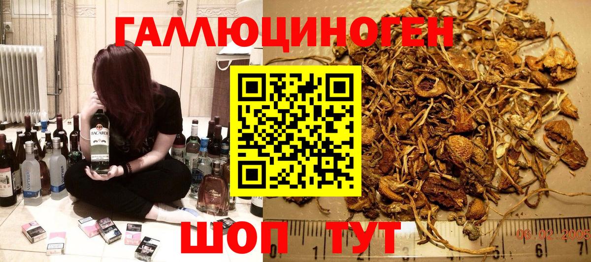 Нижний Новгород  Псилоцибиновые грибы Psilocybine cubensis  Вход с VPN 